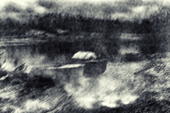 Жизнь вокруг / ***