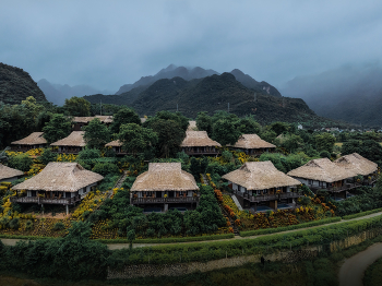 Туманным утром / Вьетнам. Провинция Май Чау. 04 ноября 2025