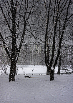 на районе / городская картинка