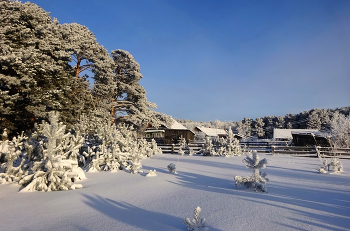 Деревня в объятиях зимы... / Сибирское село. Декабрь