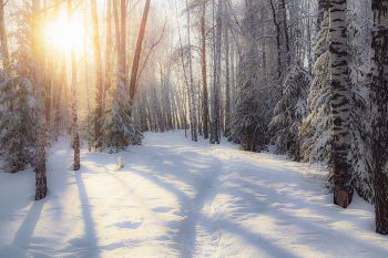 Морозным днём / ***