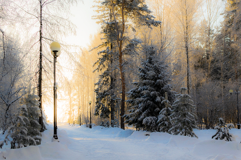 В зимнем парке / ***
