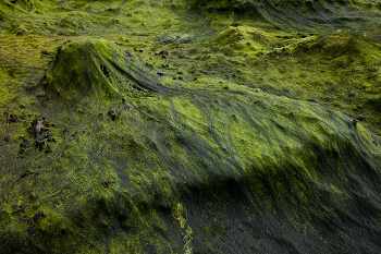 Дно / Дно Баренцева моря