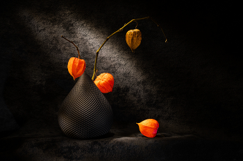 Этюд с физалисом II / 2025