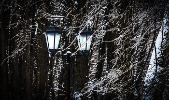 Ледяной дождь. / ***