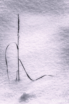 Мужество / Мужество