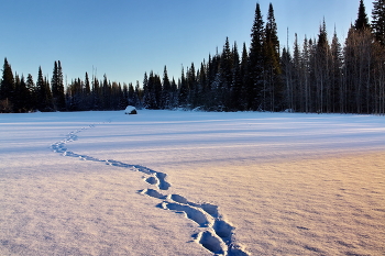 Зимним вечером. / **Томская область.*