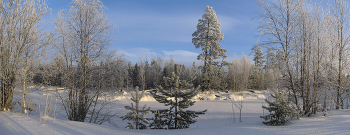 День зимний, солнечный, погожий... / ...