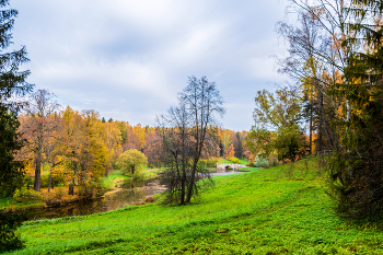 Павловский парк осенью. / ***
