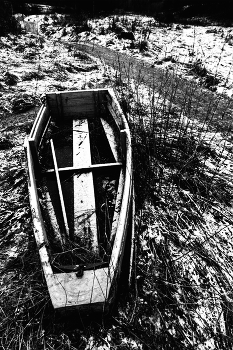 Жизнь вокруг / ***