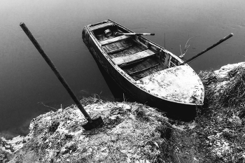 Жизнь вокруг / ***