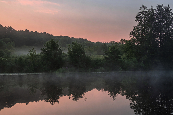 Летнее утро. / Озеро Рожок.
