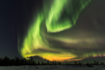Ямальское северное сияние / Последняя неделя ноября было щедрой на сияния как никогда. С понедельника по пятницу ходила в тундру как на работу в ночную смену) Работа мечты! Самый зрелищный вечер выпал на 26 ноября. Казалось, что небо сияло всеми красками. Во время сильных магнитных бурь в нижних слоях атмосферы, где плотность и концентрация атомарных газов выше, проявляются теплые оттенки цветов. Мне удалось на этом фото запечатлеть помимо классических зеленых оттенков сияния в желтом, оранжевом и малиновом проявлении. Эти цвета возникают в результате сочетания красных и зелёных или синих сияний. Это был очень красивый вечер!