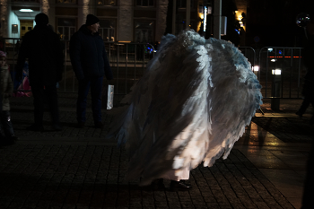 Надежда / ***