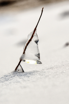 Жизнь вокруг / ***