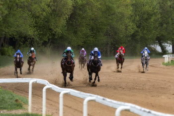 Плотный финиш / ЦМИ