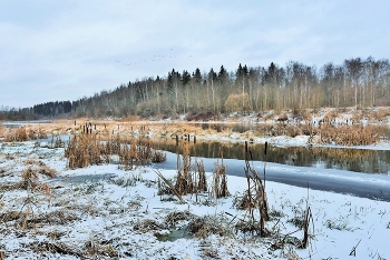 Декабрь в Подмосковье ... / ***