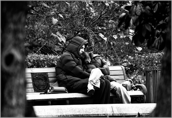 ..... Декабрь .... / уличный сюжет