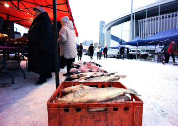 Краснорыбье / ***