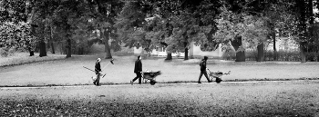 Царскосельские парки 9 / ...