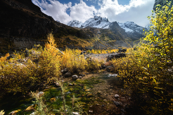 Горный родник / Кабардино-Балкария, Приэльбрусье, Шхельдинское ущелье