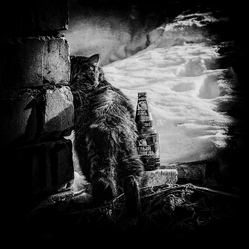 &nbsp; / Ковров, Владимирской обл. 2016 г.