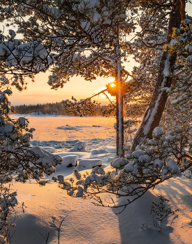Для настроения / Из фотопроекта "Чарующая Ладога".