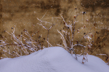 &nbsp; / ковровские зарисовки