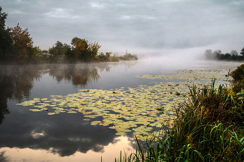Пасмурно. / ***