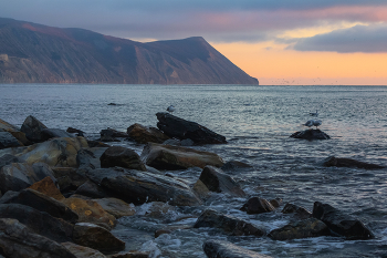 Декабрь и море / ***