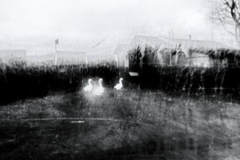 Жизнь вокруг / ***