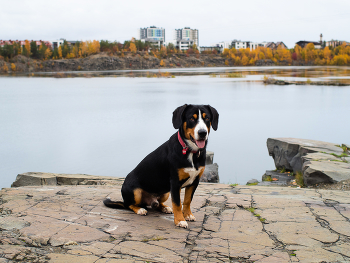 Привет Вадиму Слуцкому / Озеро "Каменный карьер"