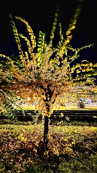 Цветная осень / Вечер с осенним красками