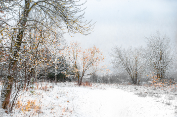 Холодный день / Холодный день