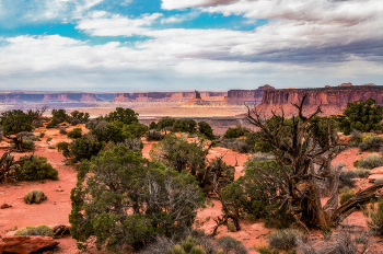 Дикий Запад / Национальный парк Каньонлэндс (Canyonlands). Расположен в междуречье Грин-Ривер и Колорадо. Здесь множество ущелий, гор и речных долин, которые являются частью пустынного ландшафта. Ущелья парка по своим размерам ненамного уступают Гранд-Каньону.