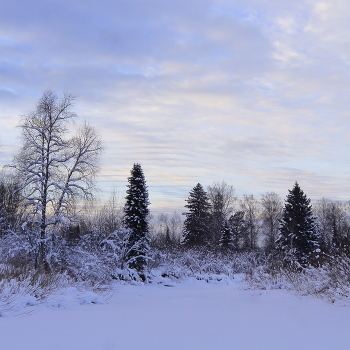 Феерия небес / Такое небо увидела впервые и смотрела, словно на картину,
разглядывая как художник Бог нанес мазки на небесный холст.