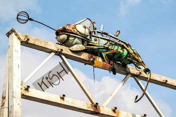 Chameleon metallicus / Chameleon metallicus