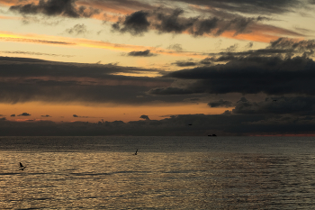 Путь назначения / ***