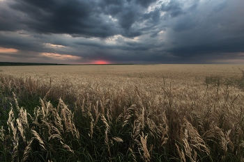 Закатилось / ***