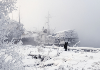 Зимняя стоянка / Преданный сторож