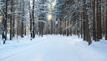 Зимней дорожкой / ***