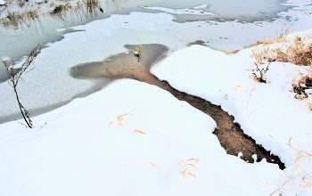 "Сквозь толщу снега вдруг зимой, пробился ледяной ручей..." / "Сквозь толщу снега вдруг зимой,
 Пробился ледяной ручей.
 Журчит холодной он водой,
 В день теплый, средь морозных дней ..."
 Р.Рудская