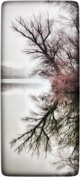 туман над озером... / ***