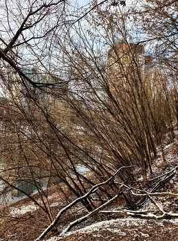 Тропарёво-Никулино / ***