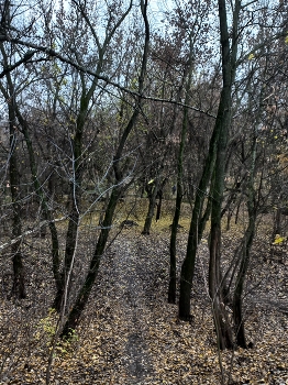 Марьино / ***