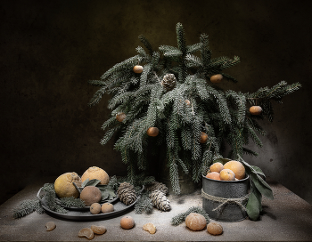 Мандариновое) / Мандариновое)