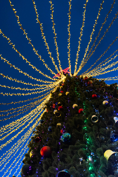 Праздник к нам приходит / ***