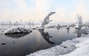 Зимние жители на прогулке / ***