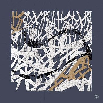 птичий переполох / ***