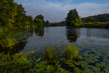 Утро в августе. / Озеро Рожок.